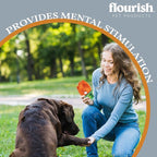 Flourish Pets 2 in 1 Multi-Layer Chew Toy for Active Dogs | Non-Toxic BPA Free Double Stitched Soft Fabric Exterior Dog Toys | Long-Lasting Dog Plush Toys – Leprechaun Snail 3.5" (2 Pack)