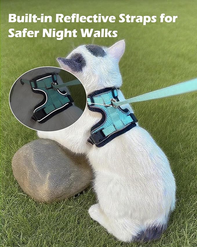Luxelle 2 Pack Escape-Proof Cat Harness and Leash Set for Walking – Adjustable No Pull Soft Vest with Easy-Wear Buckle, Reflective Straps, Breathable Mesh – Outdoor Travel Harness for Cats & Kittens