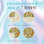 Weruva Paris Hilton Pamper Like Paris Natural Wet Dog Food, Chicken with Rice and Pumpkin, 2.75oz Cup (Pack of 10)