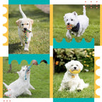 Zeaxuie 23 Pack Luxury Puppy Toys for Teething, Cute Small Dog Toys with Rubber Puppy Chew Toys, Treat Ball, Ropes and Plush Squeaky Dog Toys