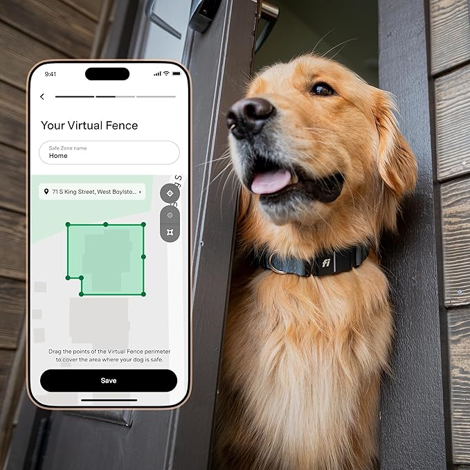 Fi Series 3+ Smart Dog Collar - GPS Dog Tracker and Activity & Fitness Monitor, Waterproof, LED Light, Escape Alerts, Nationwide Coverage [Free 6 Month Membership] (Gray, Extra Large)