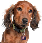 NFL New York Giants Engraving Pet ID Tags in 32 Team Logo Shapes - Personalized Dog & Cat Tags with 3 Lines of Customizable Text for Tracking & Safety - Stainless Steel