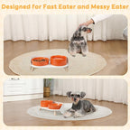 Elevated Slow Feeder Dog Bowls - Ceramic Food and Water Bowl Set with Stand - Raised Pet Dishes for Small and Medium Sized Dogs