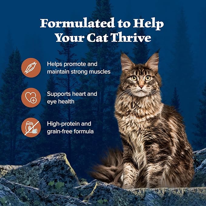 Blue Buffalo Wilderness Wild Delights Natural Wet Food for Cats, Flaked Chicken & Turkey in Tasty Gravy, 5.5-oz Cans, 24-pack