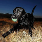 Chuckit! Glow in the Dark Bouncy Balls - Ball for Dogs, Chuckit Dog Toy, Max Glow Balls - Medium, 2.5 Inch, Pack of 4