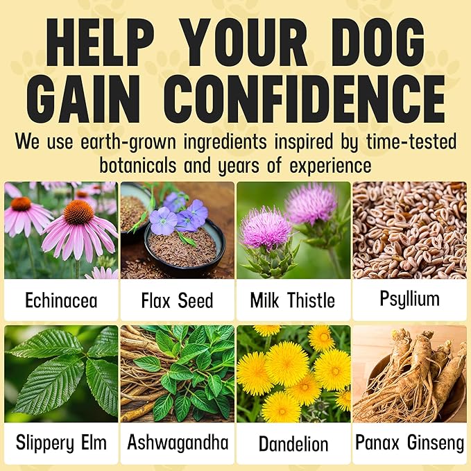 Better Dog Supplements Calm Confidence by Cesar Millan – Natural Cognitive & Brain Support for Dogs – Focus, Energy & Vitality with Ashwagandha, Panax Ginseng & Herbs – 4oz, (60-Day Supply)