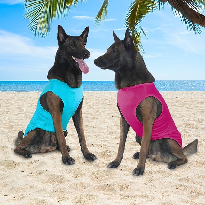 2-Piece Dog Shirt & Vest, Soft & Cool Clothes, Lightweight Stretchy Pet Vest, Summer Dog Sleeveless Clothes for Medium-Large Pets - Purple+Blue (L)