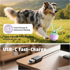 Interactive Dog Toys [2025 Upgrade] – Smart Dog Ball, Automatic Motion-Activated Rolling, Random Path, Squeaky Sounds, USB-C Rechargeable LED Light, Indoor/Outdoor Use