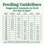 Nutro Natural Choice Large Breed Puppy Dry Dog Food, Chicken and Brown Rice Recipe, 13 lbs.