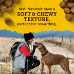 Zuke's, Treats Mini Naturals Chicken Recipe, 6 Ounce (Pack of 2)