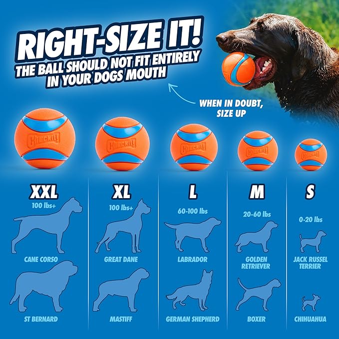 Chuckit! Ultra Ball Dog Toy with Chuckit! Cleaning Bucket Bundle, Bouncy Fetch Pet Toys For Dogs 20-60 lbs, Interactive Dog Toys, Durable Rubber, Size Medium, 2.5-inch Diameter, 8-Pack of Balls