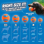 Chuckit! Ultra Ball Dog Toy with Chuckit! Cleaning Bucket Bundle, Bouncy Fetch Pet Toys For Dogs 20-60 lbs, Interactive Dog Toys, Durable Rubber, Size Medium, 2.5-inch Diameter, 8-Pack of Balls