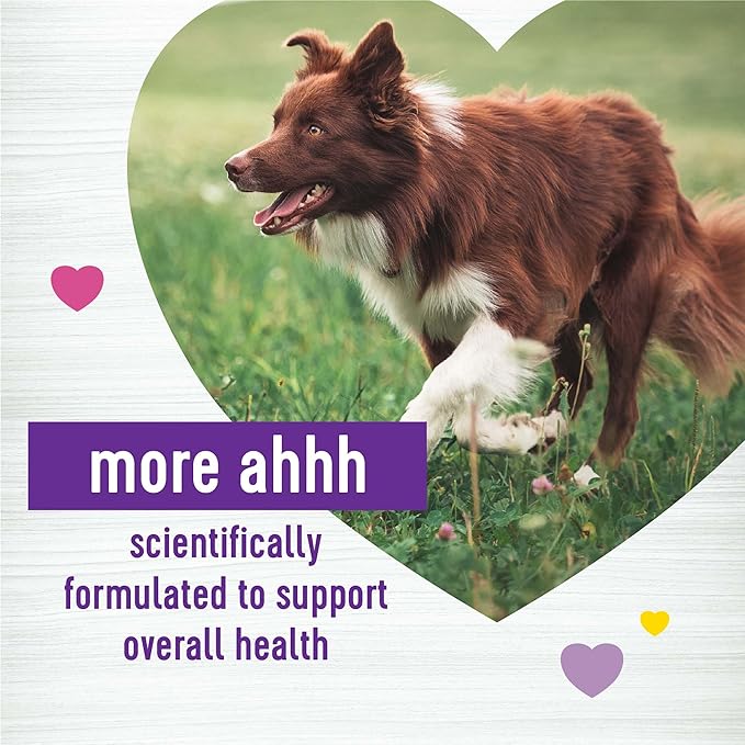 Wellness Peanut Butter & Apple Flavored Soft Chews Multi-Benefit Supplements for Dogs, 45 Count