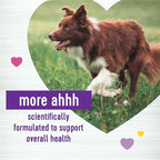 Wellness Peanut Butter & Apple Flavored Soft Chews Multi-Benefit Supplements for Dogs, 45 Count