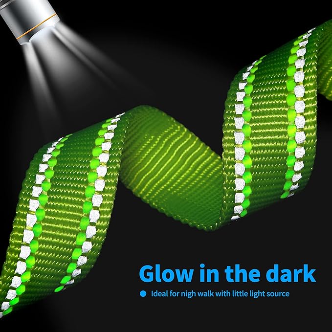 Mile High Life Nylon Night Light Glow Collar, Reflective Light Up Dog Collar, Fluorescent Self-Luminescent Strap for Small Medium Large Dogs (Lime, L Neck15-19")