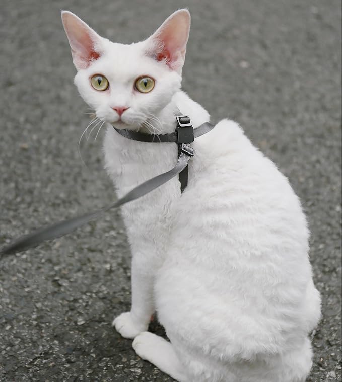 Cat Harness Escape-Proof Anti-Choking Adjustable Nylon Harness Lightweight with Anodized Aluminum Buckle, Ideal for Cats Outdoor Walking Training, IDA Awarding (Sierra Blue, M (17.7"))