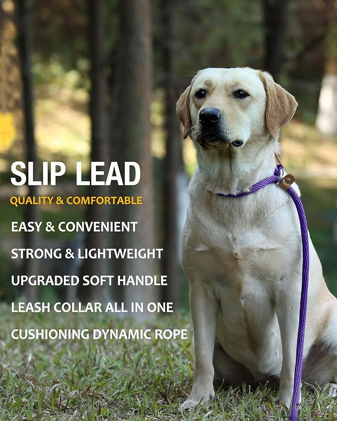 lynxking 5 FT Dog Leash Slip Lead 2 Pack Strong Heavy Duty Braided Dog Training Leash No Pull Training Lead Leashes for Medium Large and Small Dogs