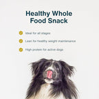 JustFoodForDogs Limited-Ingredient Pumpkin Healthy Dog Treats, Made in The USA, 5 oz