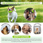 PIFFZEDO Dog Toys for Aggressive Chewers,Interactive Natural Rubber Chew & Squeaky Toy for Large Medium Breed,Dog Toothbrush,Tough & Durable (Green,Large)