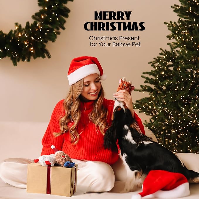 Nocciola 3 PCS Christmas Dog Toys, Santa Claus, Reindeer and Gingerbread Man Crinkle Dog Squeaky Toys, Cute Stuffed Puppy Toys,Perfect Dog Christmas Toys for Small Medium Dogs