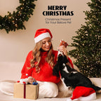 Nocciola 3 PCS Christmas Dog Toys, Santa Claus, Reindeer and Gingerbread Man Crinkle Dog Squeaky Toys, Cute Stuffed Puppy Toys,Perfect Dog Christmas Toys for Small Medium Dogs