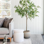 16PCS Cat Scat Mat 16x11 Cat Spike Keep Cats Out of Yard Permanently, Scat Mat with Spiked Outdoor Garden Indoor Furniture, Plastic Anti Digging for Dogs Deterrent, White Cat Deterrent for Counter