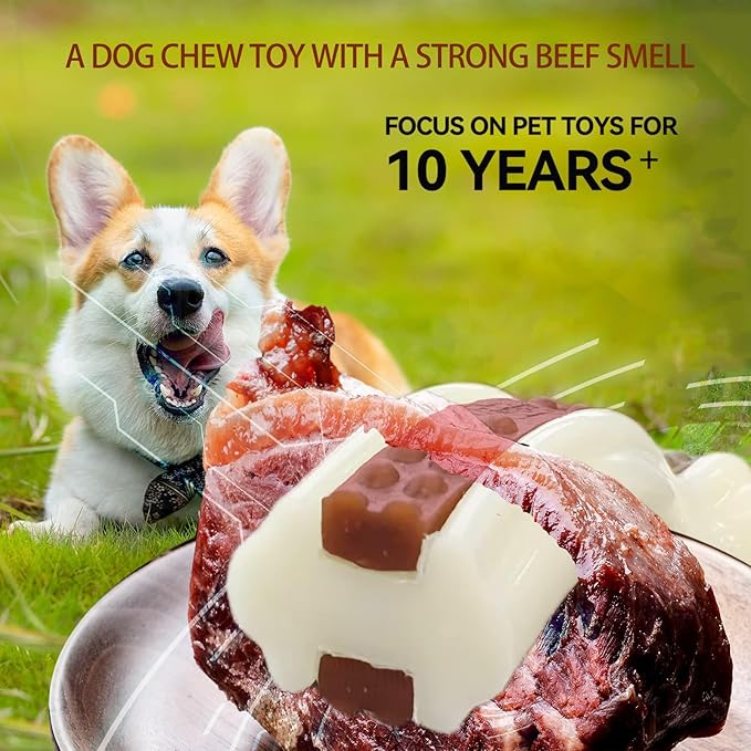 Dog Chew Toys for Aggressive Chewers, 4 Pack Beef Flavor Tough Dog Bones for Large/Medium Breed Dogs, Nylon Pet Teething Toys