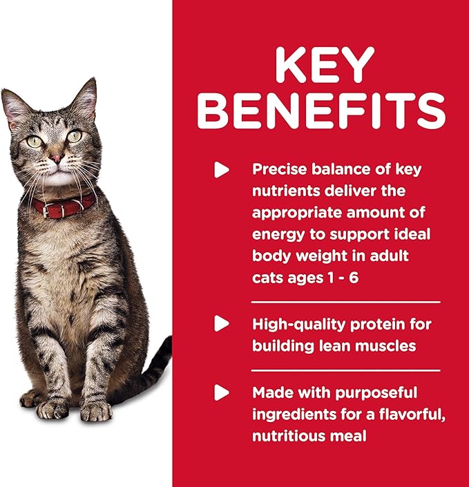 Hill's Science Diet Adult 1-6, Adult 1-6 Premium Nutrition, Wet Cat Food, Chicken Minced, 5 oz Can, Case of 24