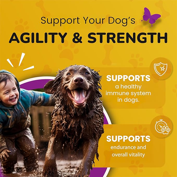 Turkey Tail Mushroom for Dogs - Dog Vitamins and Supplements - Prebiotics & Probiotics for Longevity, Immune Support & Digestion - with Chlorella, Dandelion Root, Vitamin E & More- 5.3 Oz