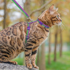 PUPTECK Adjustable Cat Harness and Leash Set Escape Proof Kitten Strap Collar for Walking Travel, Purple Green