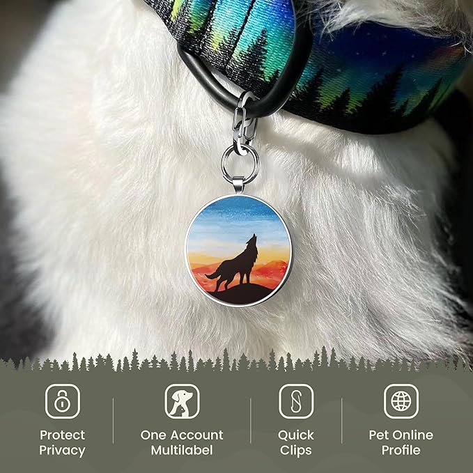 Personalized Dog Tags - Custom Dog Name Tags with QR Code for Instant Pet Location Alerts