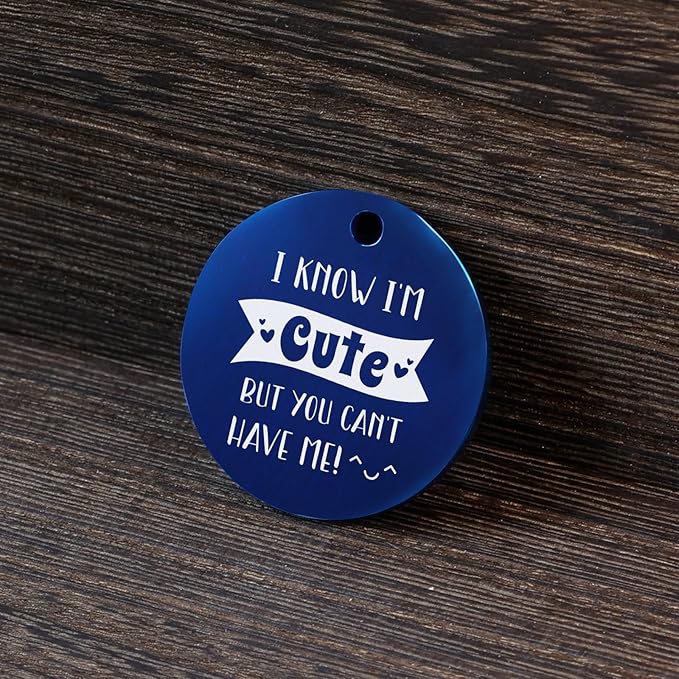 MYLUCKYTAG QR Code Stainless Steel Dog ID Tag, Engraved, Durable, Online Pet Profile, Location Alert Email