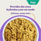 Halo Purely For Pets Halo Indoor Wet Cat Food, Grain Free, Salmon Pate, 5.5 Ounce (Pack of 12)