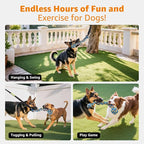 LOOBANI Outdoor Bungee Tug Toy, Dog Toy Hanging from Tree for Small to Large Dogs, Interactive Exercise Play Cord & Tether with Chew Rope Toy (Tree Stump Tug of War-Green)