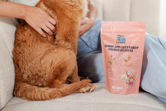Champ and Liza’s Fancy Salmon Delights – Freeze-Dried Wild-Caught Salmon Treats for Dogs & Cats – USDC-Inspected, Grain-Free, No Preservatives, Omega-3 Rich, Natural Snacks – 4 oz