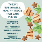 Shameless Pets Crunchy Cat Treats - Catnip Treats for Cats with Digestive Support, Natural Ingredients Kitten Treats with Real Chicken, Healthy Flavored Feline Snacks - Catnip N Chill, 3-Pk