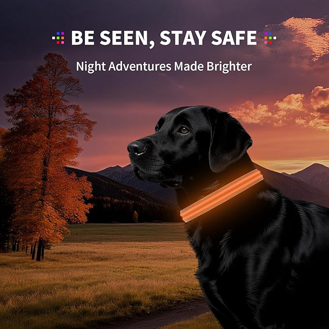 LED Dog Collar with Metal Buckle - USB Rechargeable Glow Collar for Dogs, Waterproof Light Up Dog Collar w/Reflective Strips - Adjustable Night Safety Collars by PetIsay(Orange,Large)