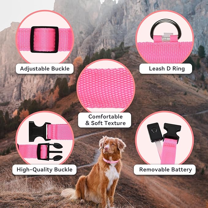 LED Light Up Dog Collar Rechargeable Waterproof, Glow in Dark Dog Collar, Lighted Dog Collars for Night Walking Charging USB, Safety for Small Medium Large Dogs (XL, Pink)