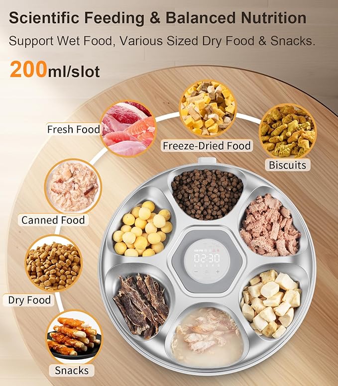 Casfuy Automatic Cat Feeder Cordless - Automatic Cat Food Dispenser with Stainless Steel Tray for Wet Food Rechargeable Auto Feeder for Cats Small Dogs with Programmable Timer Low Battery Indicator