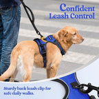 rabbitgoo Dog Harness No Pull with 2 Leash Clips, Adjustable Soft Padded, Reflective Oxford No Choke Pet Vest with Easy Control Handle for Large Dogs, Dazzling Blue, L