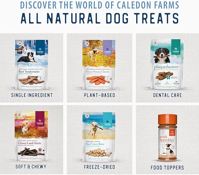 Caledon Farms Freeze Dried Bites - Salmon 90G/3.2OZ