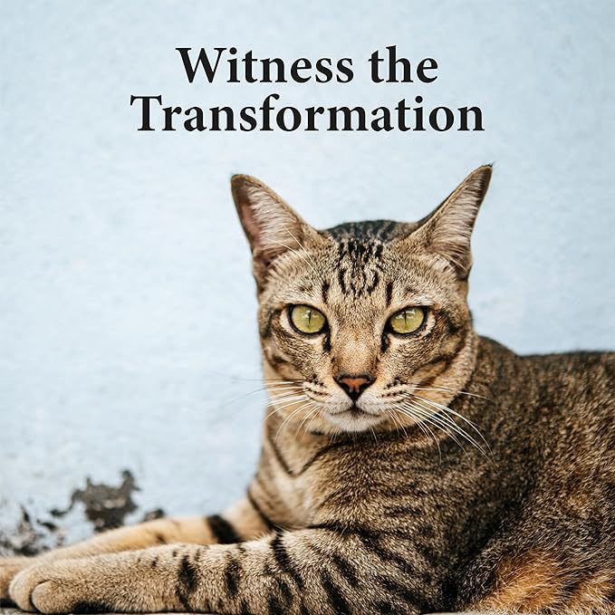 No More Tapeworms in Cats - Dewormer for Cats - 3ml Dropper