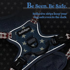 rabbitgoo Dog Harness No Pull with 2 Leash Clips, Adjustable Soft Padded, Reflective Oxford No Choke Pet Vest with Easy Control Handle for Large Dogs, Blue Star, XS