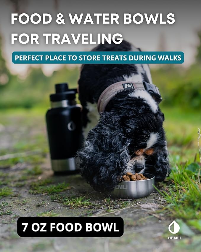 32 oz. Dog Water Bottle, Insulated Dog Travel Water Bottle, Stainless Steel Pet Water Bottle Dispenser Portable Food and Water Bowl for Dogs with Carrying Case for Walking Dog Canteen Travel Kit