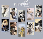 Puppytie No Pull Small Dog Harness with Multifunction Dog Leash,Lightweight Soft Adjustable No Choke Escape Proof Pet Harness Vest Pet Harness Vest,Glossy Grey,S