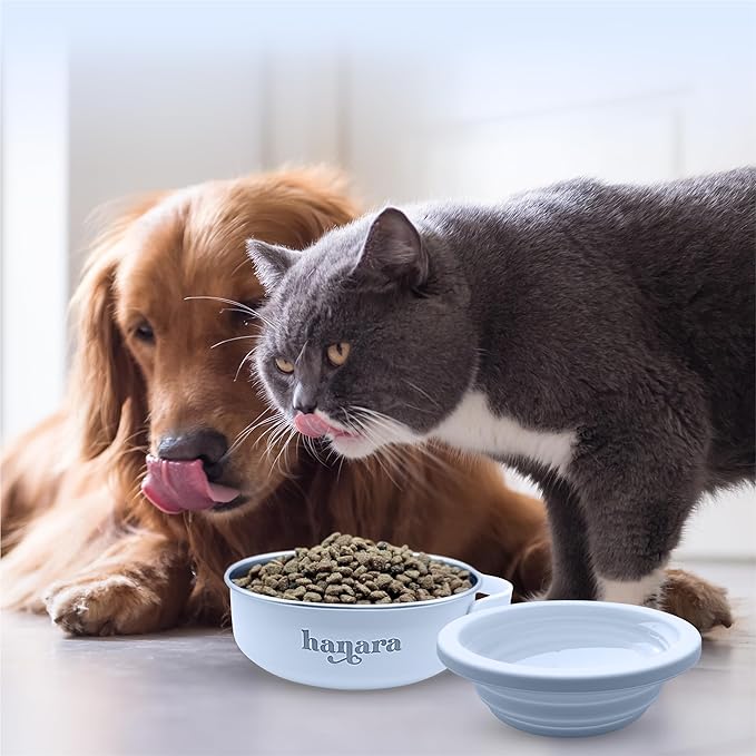 2-in-1 Insulated Dog Bowl with Collapsible Lid & Handle – Stainless Steel, Non-Slip Rubber Base – Portable Pet Water & Food Bowl for Dogs & Cats – 30 OZ + 20 OZ – Indoor & Outdoor (Blue)