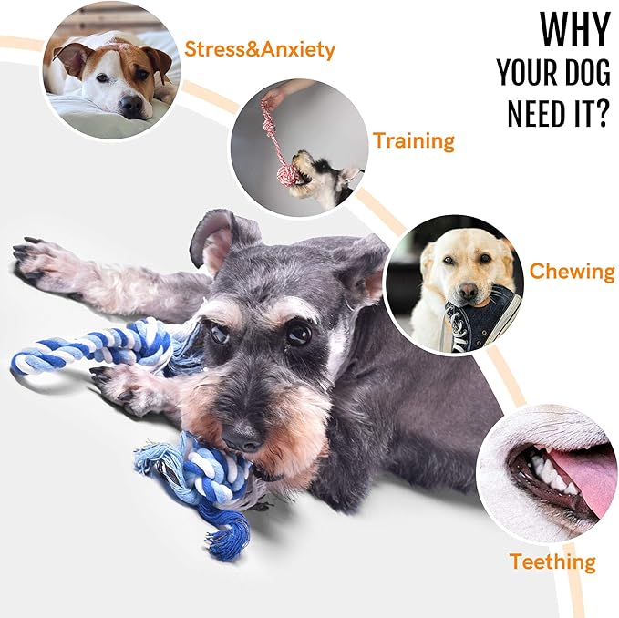 Fida Dog Rope Toys 4 Pack, Puppy Teething Sturdy Cotton Chew Tug Ropes Indoor/Outdoor, Exercise Interactive Tug O'War Toys Set for Boredom Small-Meidum Dogs