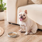 vancasso Slow Feeder Dog Bowl, 0.6 Cups Ceramic Dog Food Dish for Fast Eaters Small Breed, Puzzle Bowl for Small Dogs and Cats, Light Gray