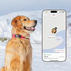 Fi Series 3+ Smart Dog Collar - GPS Dog Tracker and Activity & Fitness Monitor, Waterproof, LED Light, Escape Alerts, Nationwide Coverage [Free 6 Month Membership] (Pink, Extra Small)