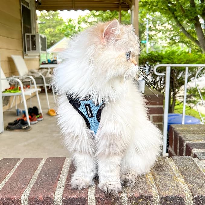 Voyager Escape-Proof Step-in Lock Cat Harness & 5ft Neoprene-Handle Leash Set All-Weather Mesh with Reflective Stitching for Small to Large Cats by Best Pet Supplies, Baby Blue/Black Trim, XXXS